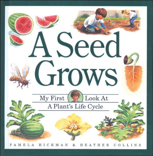 Seed Grows, A (My First Look At... Series)