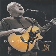 David Gilmour : En Concert au Royal Festival Hall de Londres (2002) - DVD