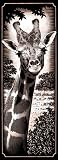 Reeves - Tall & Narrow Copperfoil Giraffe