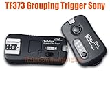 RainbowImaging TF-373 Soldier Wireless Grouping Flash Trigger Control for S ....