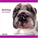 Bulldog Dog 2009 Wall 12''x12'' Calendar by THE DOG Artlist Collection