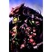World of Warcraft Vol. 1 SC (World of Warcraft World of Warcraft)