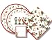 Caspari Large Entertaining Kit with 20 cocktail napkins, 20 lunch napkins, 8 salad plates, 8 dinner plates, and 8 placecards, Nutcrackers