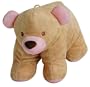 Bestever Hugga Pet Pink Bear