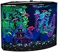 GloFish 29045 Aquarium Kit with Blue LED light, 5-Gallon