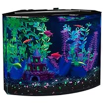 GloFish 29045 Aquarium Kit with Blue LED light, 5-Gallon

