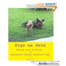 Teacup Pigs as Pets - Taking Care of Micro & Miniature Teacup Potbelly Pigs