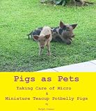Teacup Pigs as Pets - Taking Care of Micro & Miniature Teacup Potbelly Pigs