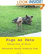 Teacup Pigs