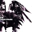 The Black Crowes Live