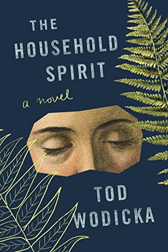 the household spirit a novel