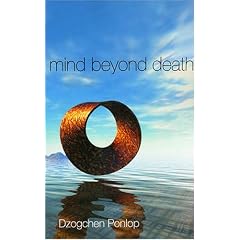 Mind Beyond Death