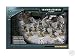 Imperiale Armee Cadianische Kasrkin (Box) [47-23]
