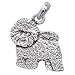 Bichon Fris? Sterling Silver Hand Made Pet Lover's Charm