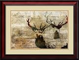 Harmony Framed Print by Kay Daichi Framed