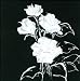 Very Stylish Still Life of Black/White Flowers Textured Acrylic Painting on Canvas Wall Decor 24