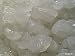 Keysands Live Organic Water Kefir Grains (Crystals, Tibicos) (Pack of 2)