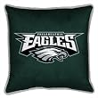 Philadelphia Eagles Sideline Pillow (18x18) NFL