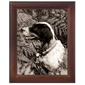 Document Frame - Walnut (8.5x11")