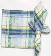 Durable Hand Woven Jacquard 100% Cotton White and Blue Fruit Napkins 22x22 Inches Set of 12