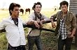 Jonas Brothers (Sunshine) Music Poster Print - 34x22