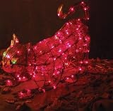 Black Cat Light Up Prop