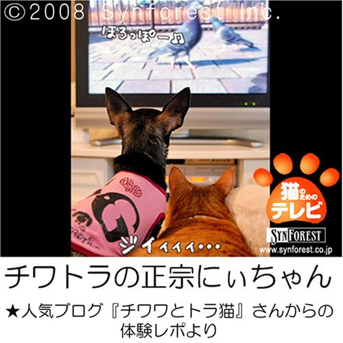 Cover image : 猫のためのテレビ・DVD版 ニャンコたちへの贈り物