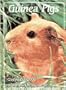 Guinea Pigs