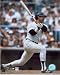 Reggie Jackson New York Yankees 8x10 Photo (Home Jersey Batting)
