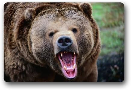 Wild Animal Grizzly Bear Door Mat Doormat Rugs for Home/Office/Bedroom Rubber Non Slip 23.6"(L) x 15.7"(W)