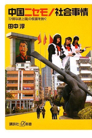 中国ニセモノ社会事情 「ひ弱な途上国」の仮面を剥ぐ (講談社+α新書)