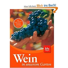 Wein in unserem Garten: Die besten Sorten. Erziehen, Schneiden, Verwerten