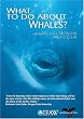 What to do About Whales? - PAL Version