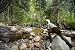Wallmonkeys Peel and Stick Wall Decals - Fisherman in River - Removable Graphic