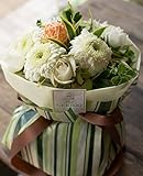 花束 自立する花束 生花 不思議な （ ライム ホワイト ） 花 束 ブーケ Mサイズ