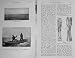 1907 Tarpon Leaping Fishing Angling Horse Leg Splint