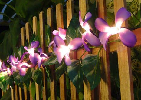 Purple Frangipani Flower Party String Lights (20/set)