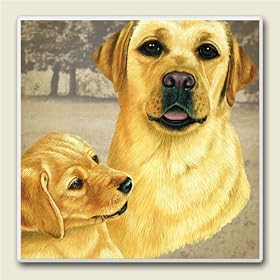 AbsorbaStone Coaster set~ Two Yellow Labs ~4 Tile Drink Coasters ~ code 865C by Artworks Home Accents