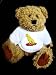 Teddy Bear with cheetah, india, animal, big cat, asia, feline t-shirt