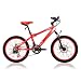 Ferrari CX-30 20-Inch Boys Bike