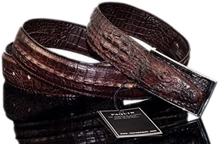 PAQUIN Men's Classic Alligator Belt Leather Cayman Buckle Famous' 38mm 31"-42"
