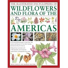 The Illustrated Encyclopedia of Wild Flowers and Flora of the Americas: An authoritative guide to more than 750 native wild flowers of the USA, Canada, ... watercolors, photographs and maps
