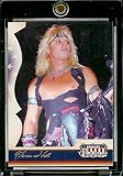 2007 Donruss Americana Hobby # 13 Vince Neil - Entertainment Trading Card in a Screw Down Display Case