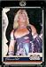 2007 Donruss Americana Hobby # 13 Vince Neil - Entertainment Trading Card in a Screw Down Display Case