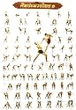 " Thai Kickboxing / Muay Thai " Training Poster Triple Pack