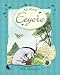 All About Eeyore (Winnie the Pooh All About)