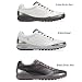 ECCO Men's BIOM Hybrid Golf Shoe