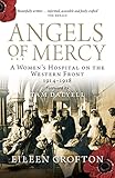 Angels of mercy : nurses on the Western Front