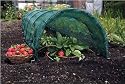 Giant Easy Net Tunnel 3M