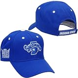 Indiana State Sycamores Adult Adjustable Hat